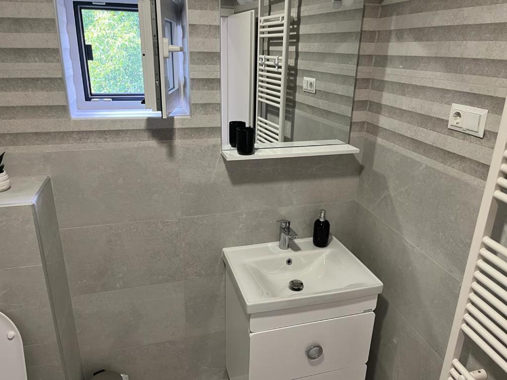 Sabina Apartaments Sfântu-Gheorghe Eksteriør billede