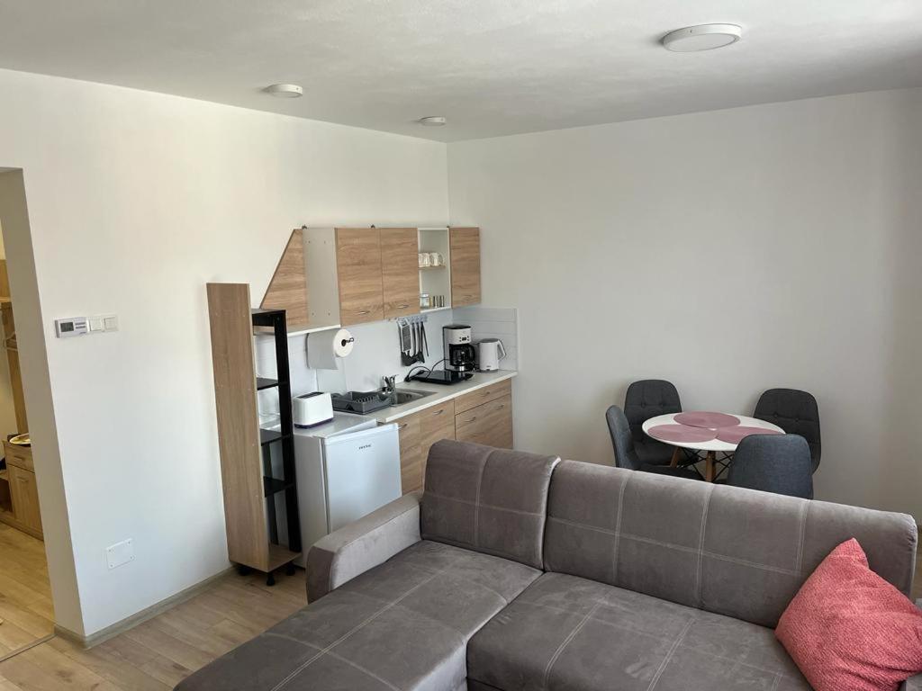Sabina Apartaments Sfântu-Gheorghe Eksteriør billede