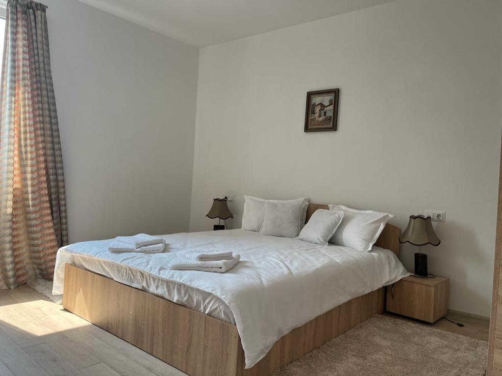 Sabina Apartaments Sfântu-Gheorghe Eksteriør billede
