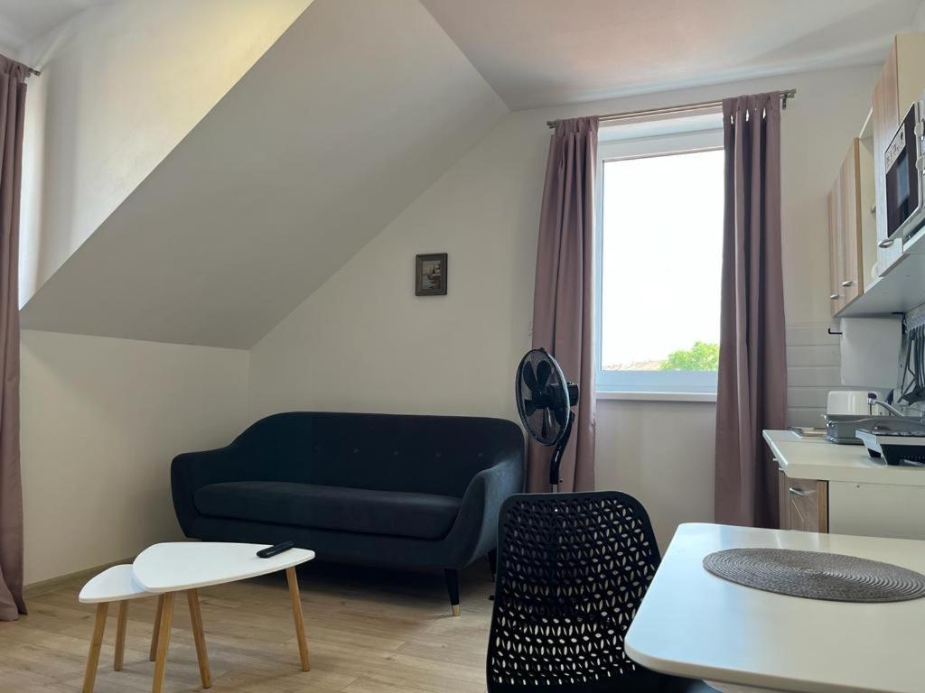 Sabina Apartaments Sfântu-Gheorghe Eksteriør billede