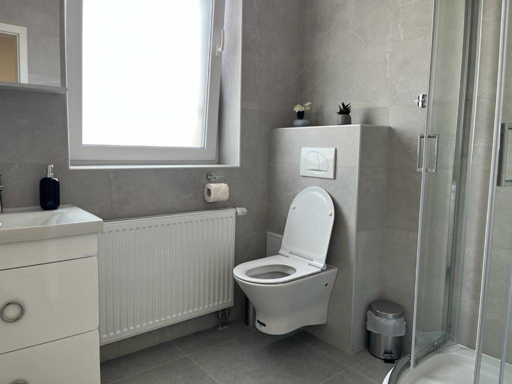 Sabina Apartaments Sfântu-Gheorghe Eksteriør billede